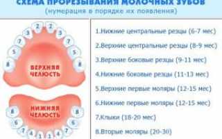 Почему у ребенка в год нет зубов: основные причины позднего прорезывания по мнению Комаровского