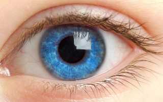 Красные глаза: лечимся традиционными и народными методами