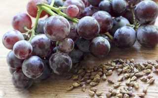 Применение масла виноградных косточек от прыщей