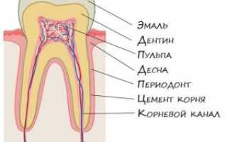 Болит зуб и десна над зубом при нажатии на него: в чем причина возникающей зубной боли?