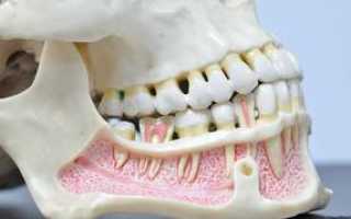 Понятие иннервации и кровоснабжения зубов верхней и нижней челюсти, роль верхнечелюстного, подъязычного и других нервов