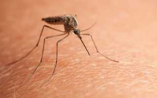 Обзор безопасных брендов средств от комаров и мошек