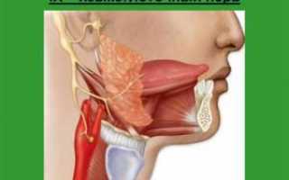 Причины, симптомы, диагностика и лечение невралгии языкоглоточного нерва