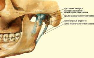 Альвеолярный отросток верхней и нижней челюсти и его перелом: что это такое?