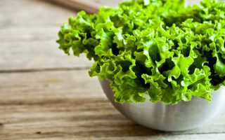 Листовой салат поможет увлажнить кожу не хуже магазинных средств